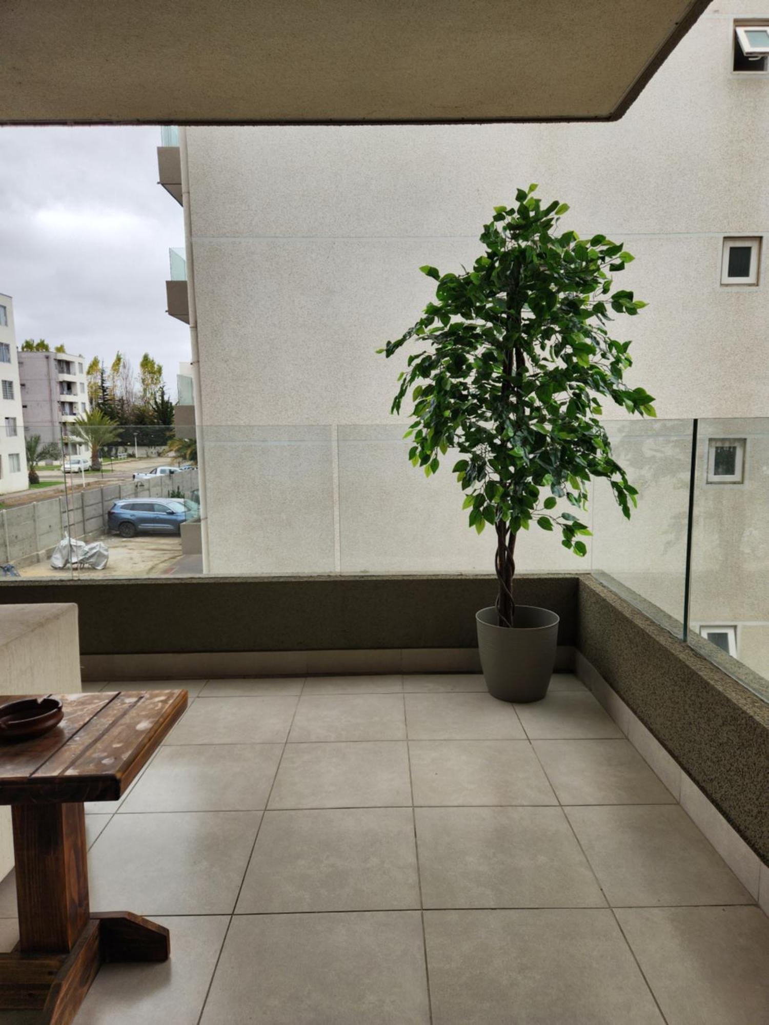 Arriendo Departamento En Apartamento *